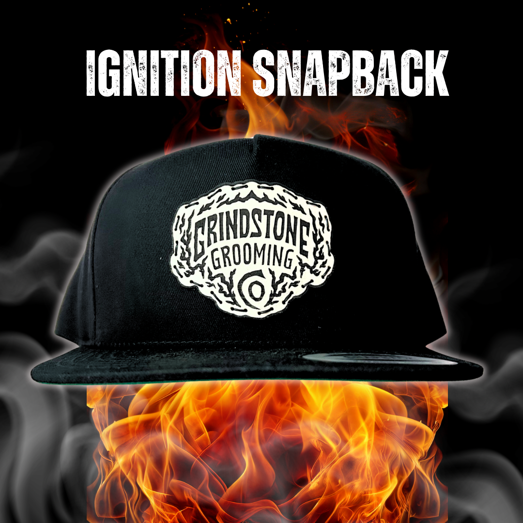 IGNITION Snapback